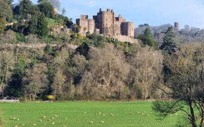 Top 10 Things to See and Do In Dunster Village